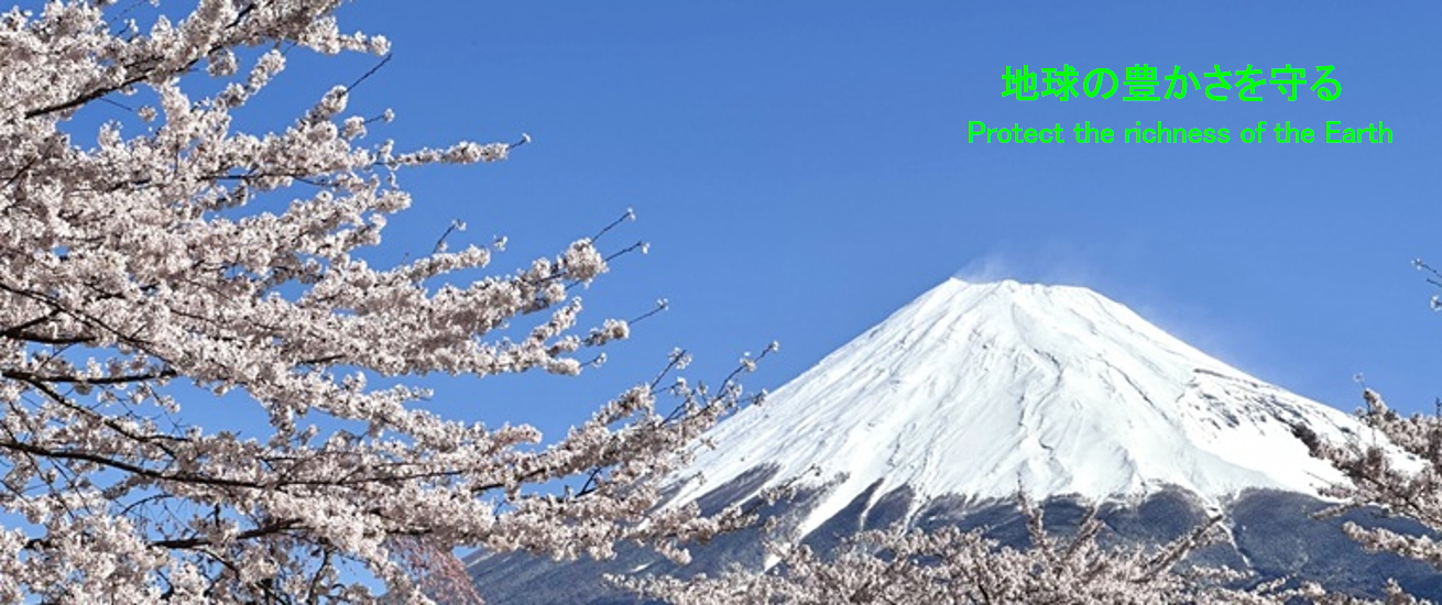 Obbro Japan